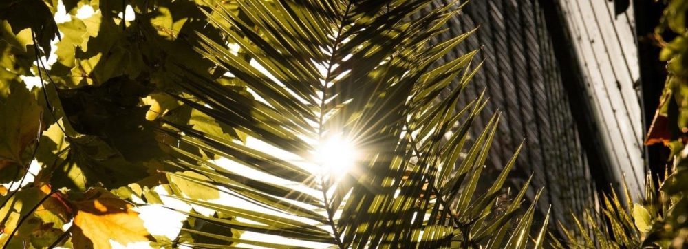 Očakávané farebné jarné trendy na rok-2021