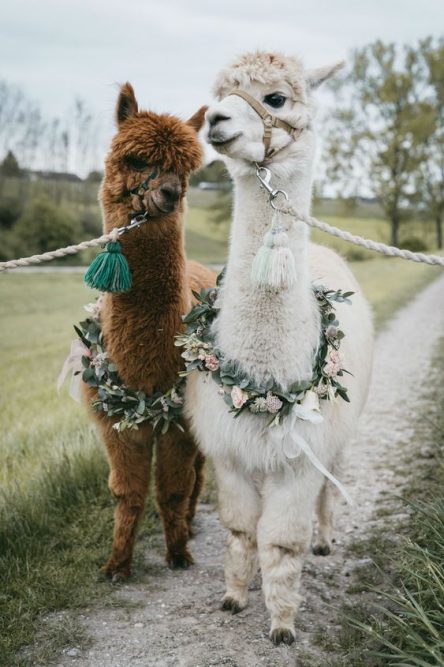 Udržateľné módne materiály