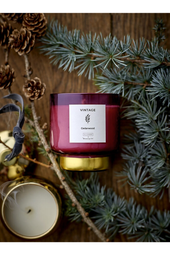 Cédrové drevo - gold